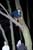 05001.jpg -    346x520x24b (45 KB)
