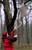 05004.jpg -    343x520x24b (79 KB)