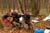 05010.jpg -   700x466x24b (170 KB)