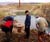 08012.jpg -   615x520x24b (115 KB)