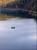 08022.jpg -    391x520x24b (56 KB)