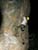 10026.jpg -    401x520x24b (56 KB)