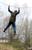 CRW_5083.jpg -   343x520x24b (61 KB)