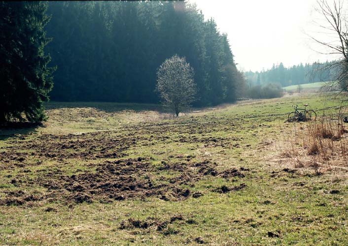 R001-028.jpg - 706 X 500 - 0 KB